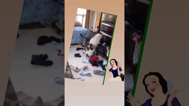 ?Суету навести охота? ?Нет, просто второй носок ищу! смотреть онлайн