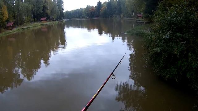 Как ловить на плавующий воблер. Твичинг.