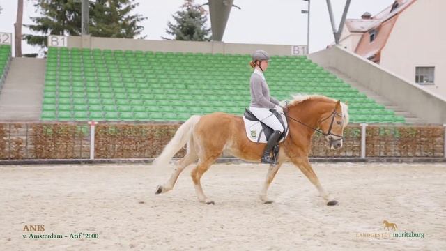 Haflinger auf den Deckstationen 2021 смотреть онлайн