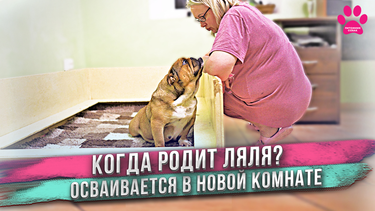 Когда же ты родишь Ляля? смотреть онлайн