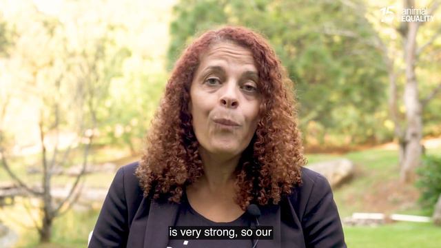 Celebrating 15 Years of Activism for Animals! смотреть онлайн
