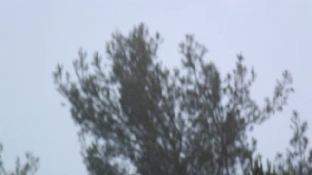FujiFilm FinePix X-S1 Zoom And Auto Focus During Video Test
