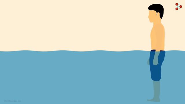 What is Buoyancy? | Physics | Don't Memorise смотреть онлайн