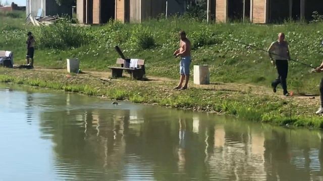 Ещё один европейский сом на селедку смотреть онлайн