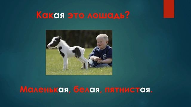 Какой? Какая? Какое? Какие? смотреть онлайн