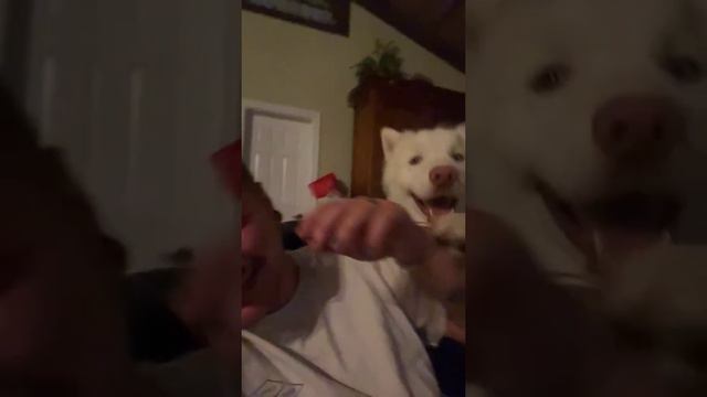 #meme #memes смотреть онлайн