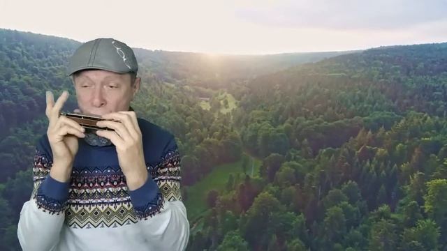 Joao e Maria on Chromatic harmonica смотреть онлайн