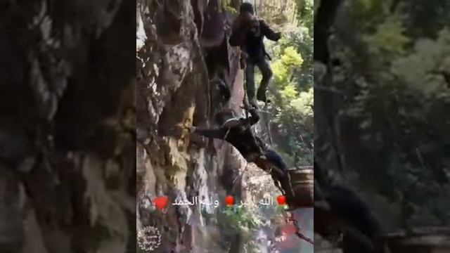 Мед от диких пчёл как добывать смотреть онлайн