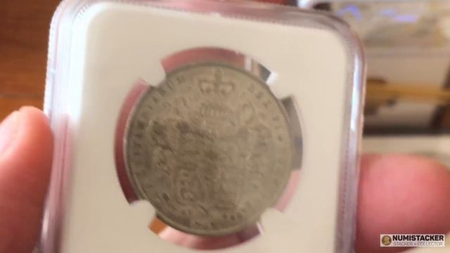 Easter Mega Results From NGC London - Gather Your Bunnies And Enjoy