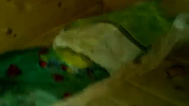 Всё же хорошо, что у меня русская баня, а не сухая сауна смотреть онлайн