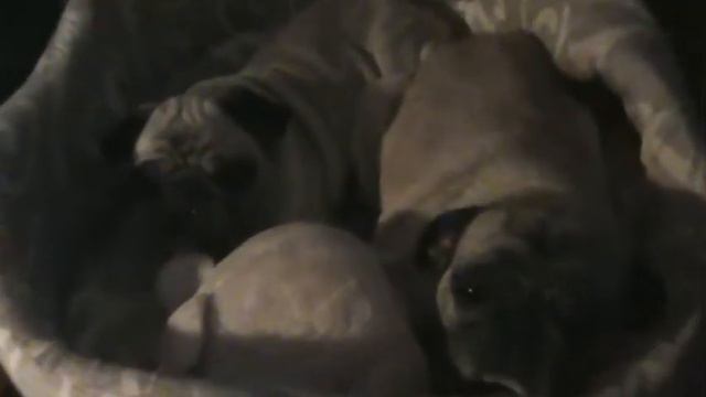 Новое видео....Которого так долго не было на канале!!!!!! смотреть онлайн