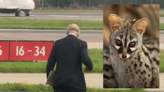 КОРОНА:"ПРИНЦ ЧАРЛЬЗ ПЛАН СВЕРГНУТЬ КОРОЛЕВУ"_ФОТО ФАЛЬШИВОЕ ЗРЯ ДАЛИ ВЗЯТКУ_ КОРОЛЕВА ЕЛИЗАВЕТА 2 смотреть онлайн