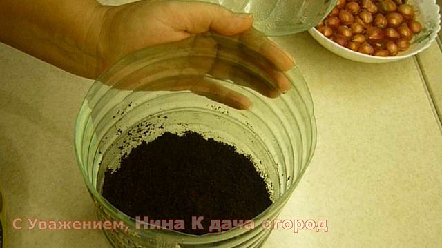 САЖАЙ БЫСТРЕЙ ЕЩЁ НЕ ПОЗДНО! Как быстро вырастить зеленый лук к новому году на окне в бутылке смотреть онлайн