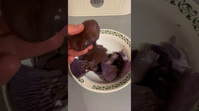 Простые и вкусные оладьи