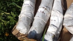 Питомник FLORALI.ru. Плодовые ДЕРЕВЬЯ и КУСТАРНИКИ. Посылка с моим ЗАКАЗОМ.