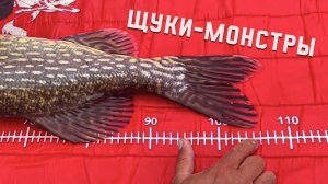 ЩУКИ-МОНСТРЫ. В гостях у ПАВЛА МЫЧКО.