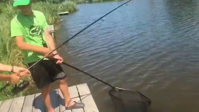 «Клуб рибалок відпочинок водойма» короп та товстолоб,флет та класика:) смотреть онлайн