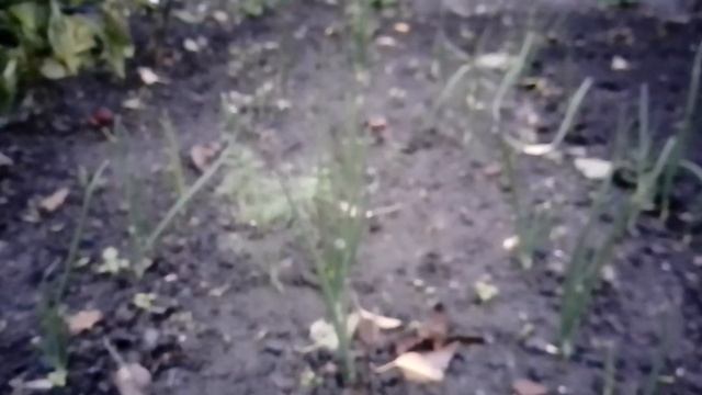 Ломаю Голову... Как Вы Думаете? смотреть онлайн