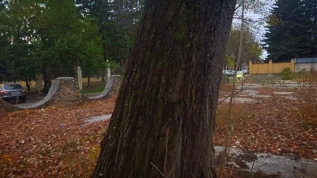 Ессентуки бывший Ресторан Легенда, прогулка 09.11.2023 смотреть онлайн