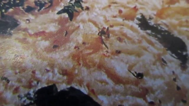 Запеканка из лука и творога.Baked onions and cheese. смотреть онлайн