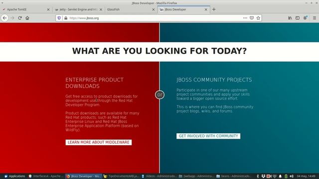 Interfaces 0265 Bis   JSF