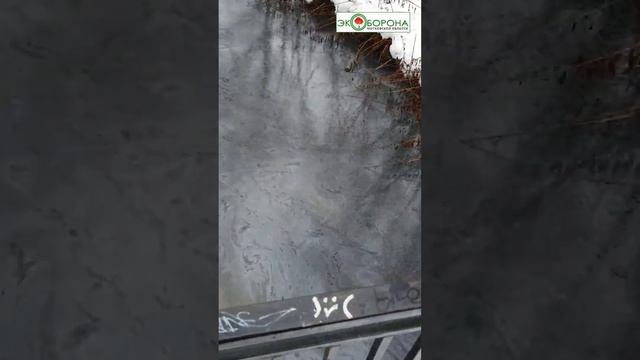 Нефть в воде... Река Ичка на севере Москвы смотреть онлайн