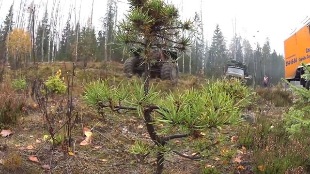 Встреча TRUCK Offroad Блогеров на Медном озере. ЗИЛ-497200, Зил 131, Зил 157, Газ 66, Big Ford F80 смотреть онлайн