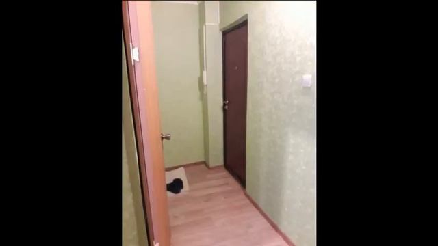 Однокомнатная квартира в Ногинске смотреть онлайн