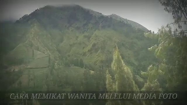 TERBUKTI | Ilmu Pelet Cinta Ampuh Dalam 1 Hari, Mantra Lewat Foto Jarak Jauh Paling Ampuh