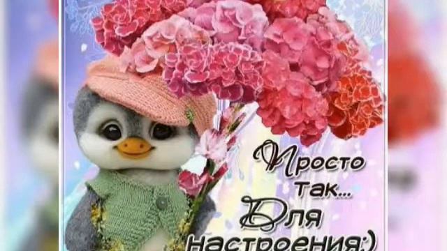 2 июня 2018 г. смотреть онлайн