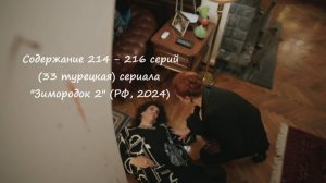 Содержание 214 - 216 серий (33 турецкая) второго сезона сериала "Зимородок" (РФ, 2023 / 2024)