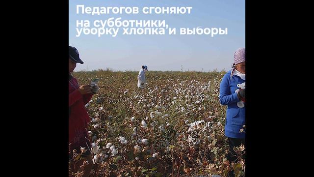 Узбекистан, учителя смотреть онлайн