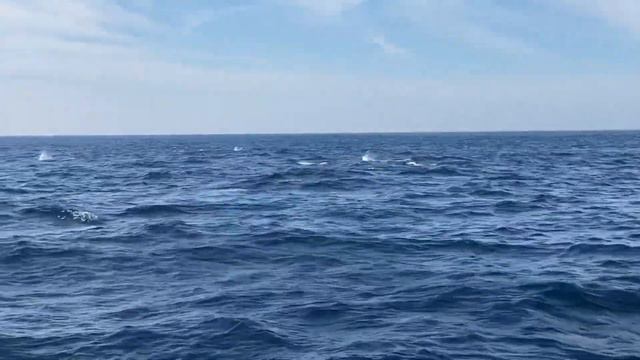 Swan 98 Drifter Cube | Crossing The Atlantic смотреть онлайн