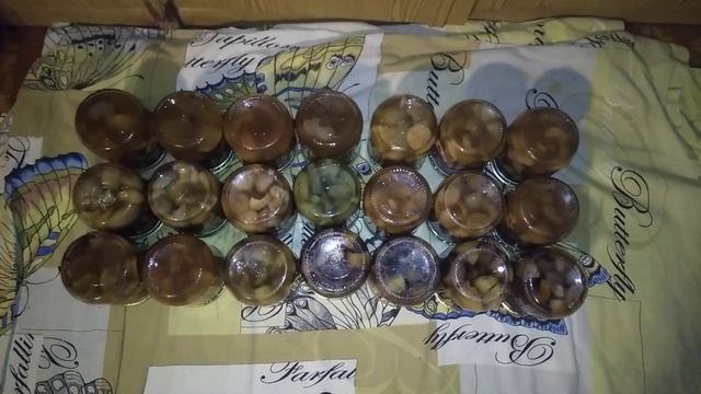 ☼Главный итог дня лентяя, 16 банок маслят, 5 банок красиков и белых закрытых в маринаде на зиму . смотреть онлайн