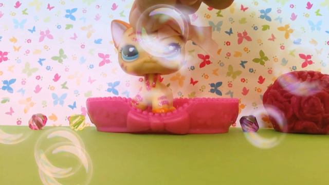 Ответы на вопросы 😂😊 смотреть онлайн