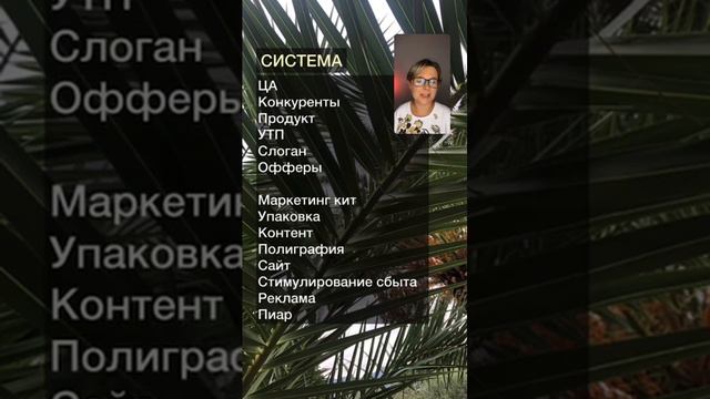 Система. Как выстраивается стратегия развития Бренда? Урок №17 смотреть онлайн