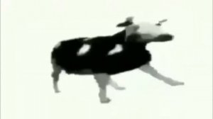 Польская корова танцует 10 часов