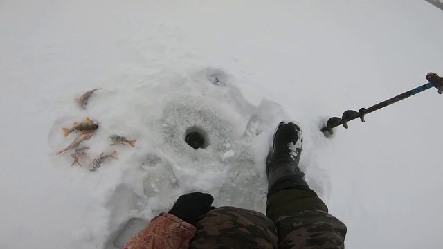 рыбалка первый лед 2022 ловля окуня на блесну ваучер рыбалка зимняя 2022 смотреть онлайн