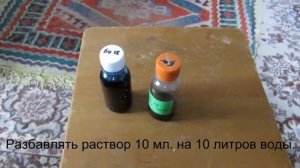 Обработка малины от вредителей препаратом БИ 58