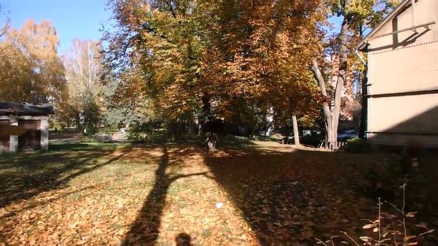 небольшая прогулка по моему району смотреть онлайн