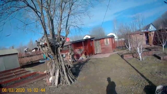 Собираем валежник Обрезаем деревья на участке Дача март 2020 смотреть онлайн