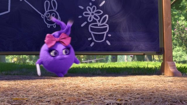 As Aventuras De Sunny Bunnies | Olá S-Marty! | Série 5 | Desenhos Animados Infantis