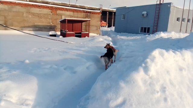 Рождество. Чебоксары. Минус 28! смотреть онлайн