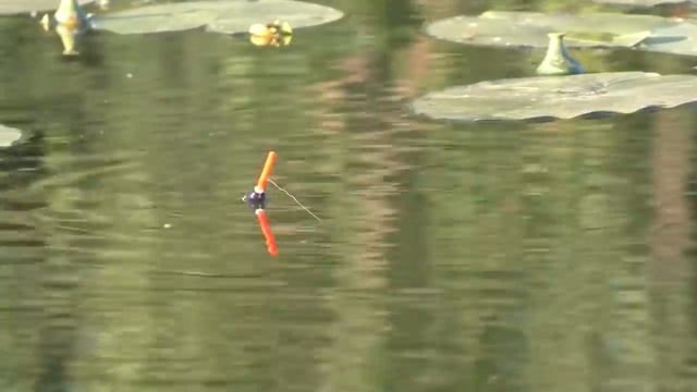 ЛОВЛЯ КАРАСЯ НА ВЕЧЕРНЕЙ ЗОРЬКЕ! ВОТ ЭТО КЛЁВ! Рыбалка на удочку в тихой заводи с лодки... смотреть онлайн