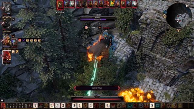 Почему Медведи лазают по лианам смотреть онлайн