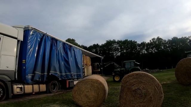 ЗАБУКСОВАЛ НА МЕРСЕ | Сколько я получил чаевых на выгрузке в ГЕРМАНИИ? НЕОБЫЧНАЯ ЗАГРУЗКА... смотреть онлайн