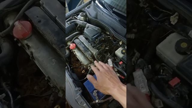 Ремонт автоэлектроники. Прошивка ЭБУД. 