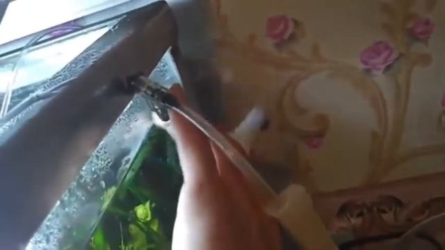 Переезд!!! День 30! смотреть онлайн