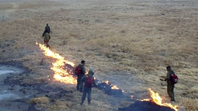 Лесхоз защищает с Алек Завод от пожара 13 04 2015 смотреть онлайн