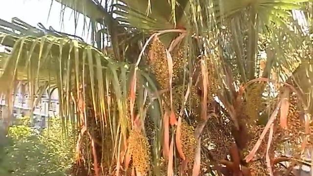 Греция. Западный Крит! Greece, West Crete!